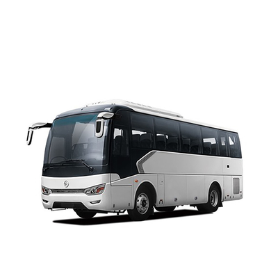 Dragon Diesel Luxury Coach Bus dourado 220 HP 8m 10 - 34 assentos Team Travel Bus